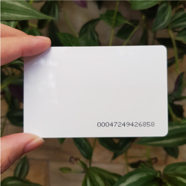 phôi thẻ proximity