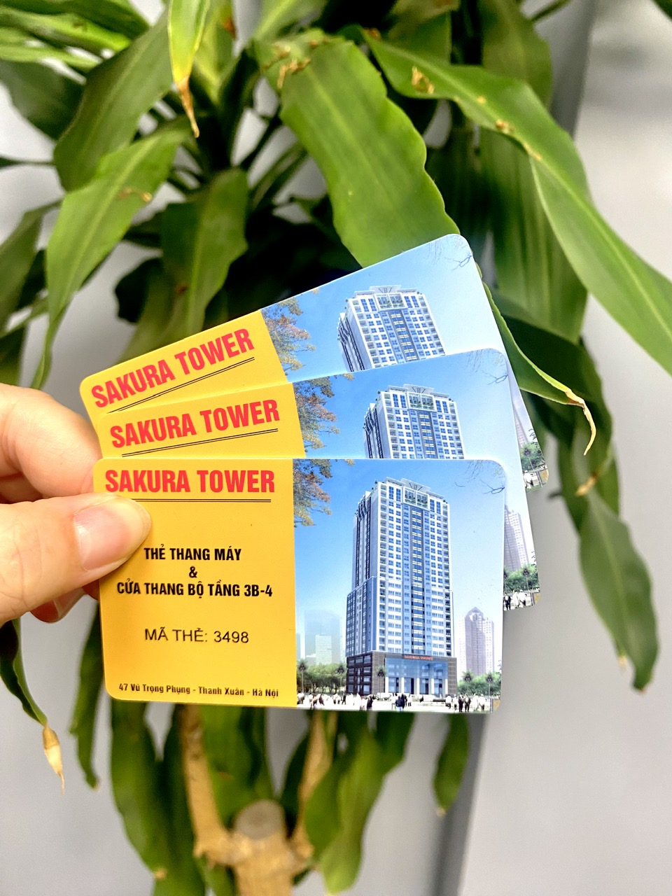 Dịch vụ in thẻ nhựa