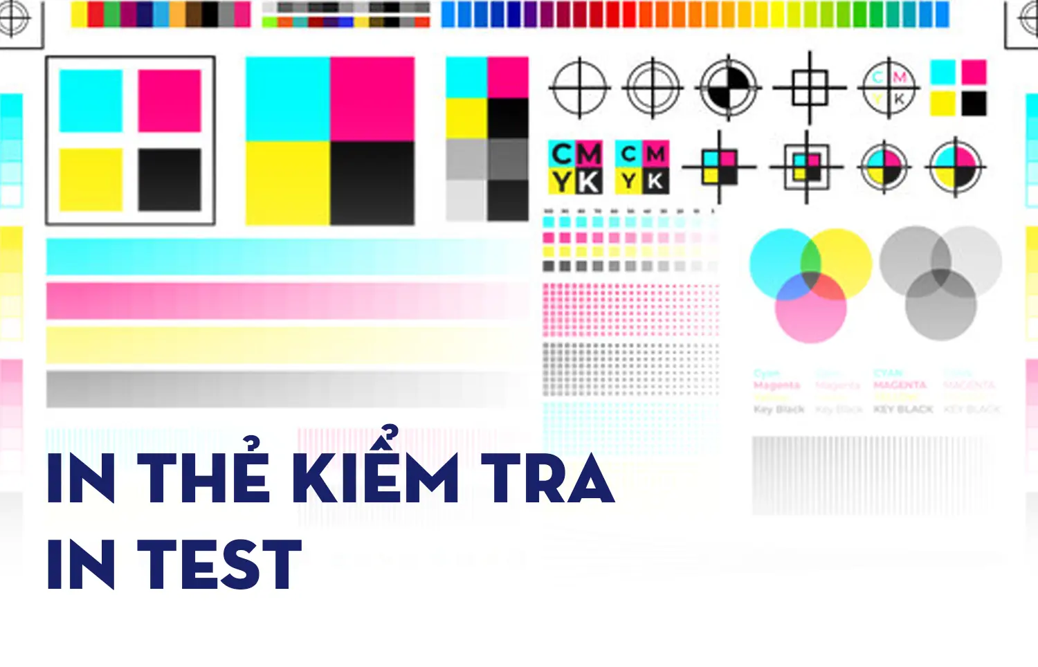 In thẻ kiểm tra - In test