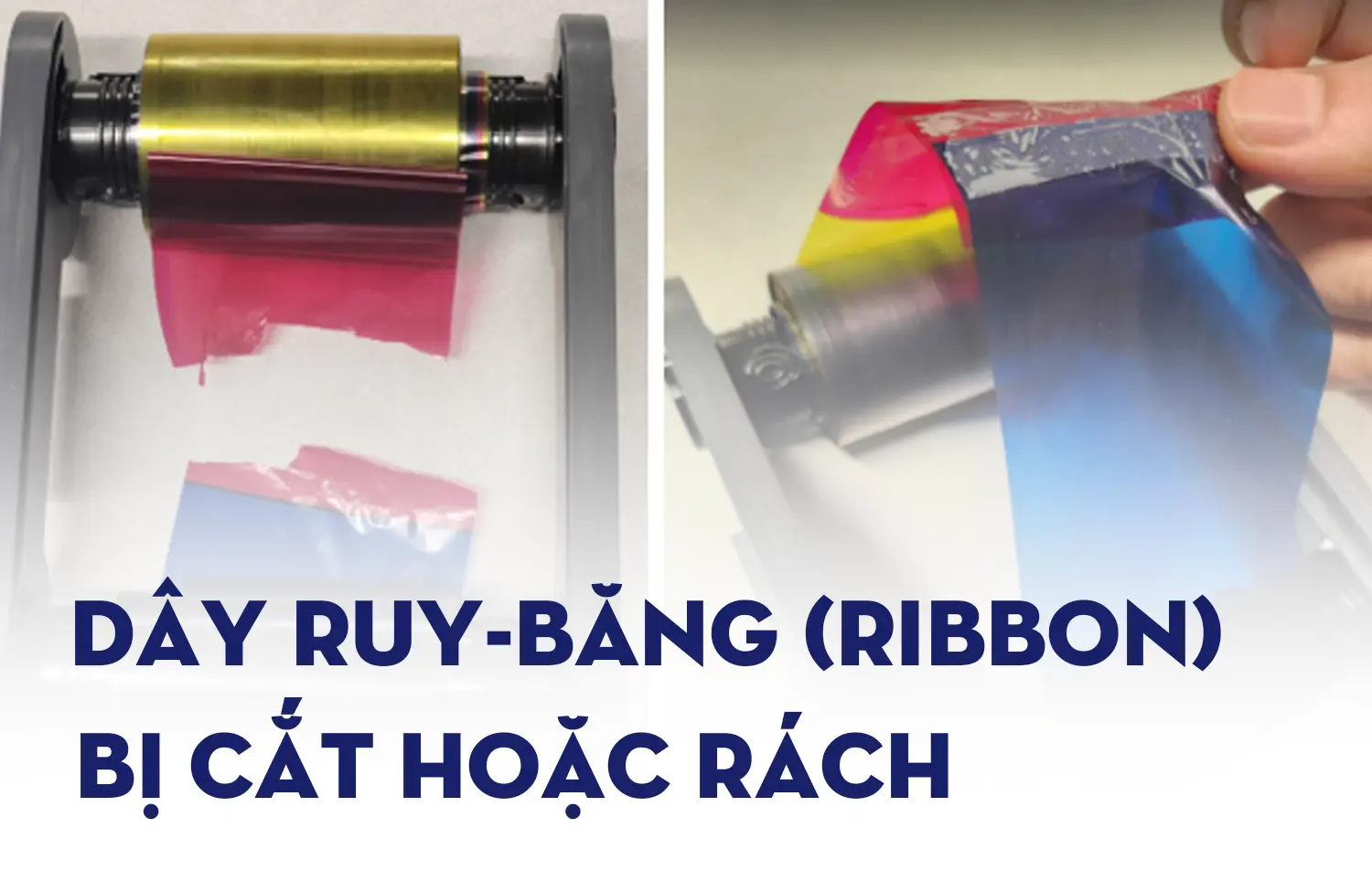 Xử lý dây Ruy-băng (ribbon) bị cắt hoặc rách